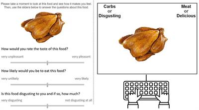 The relationship between meat disgust and meat avoidance—A chicken-and-egg problem